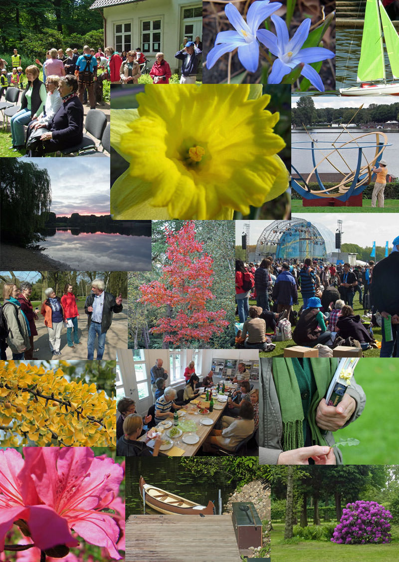 Fotocollage 2013