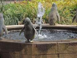 Pinguinbrunnen