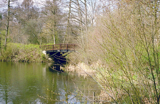 Teichlandschaft Im Fruehling (Foto V. C. B. Hoffmann)