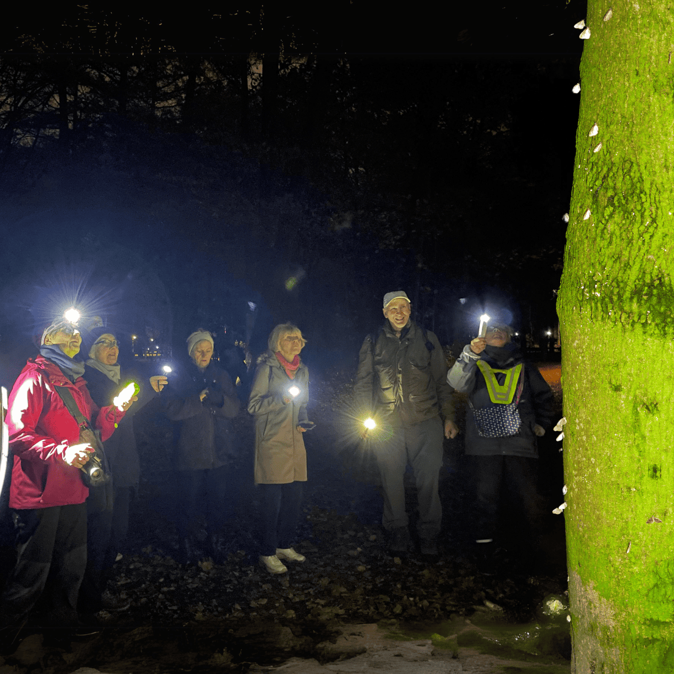 Ökologie Führung in Kooperation mit dem NABU: Auf der Suche nach dem Kleinen Frostspanner