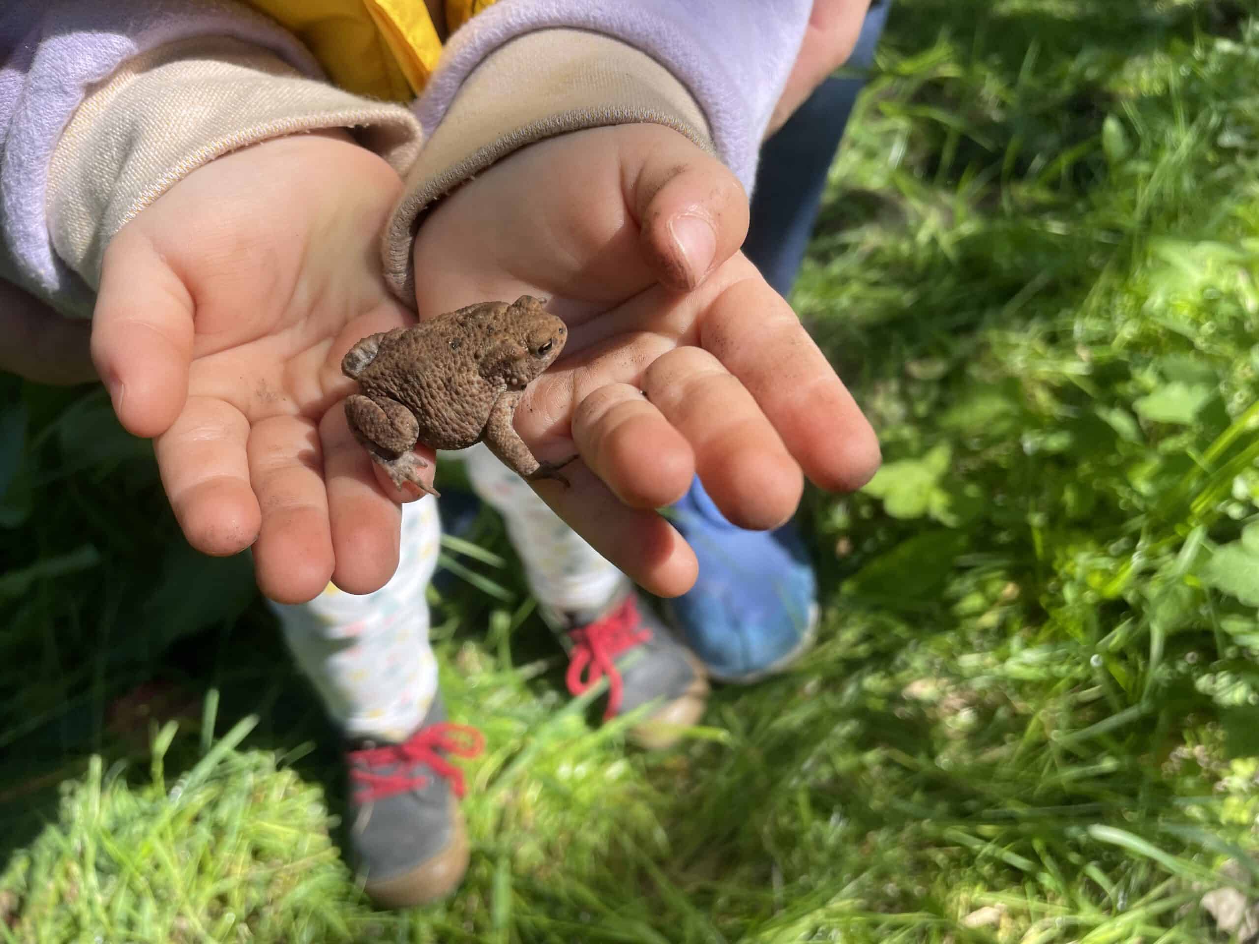 Naturerkundung für Kinder