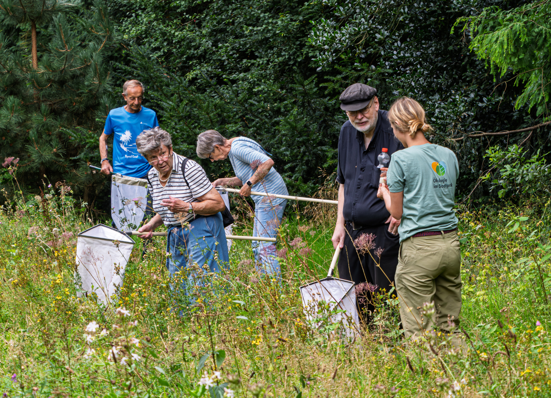 Naturerkundungs-Gruppe: Insekten checken mit der App